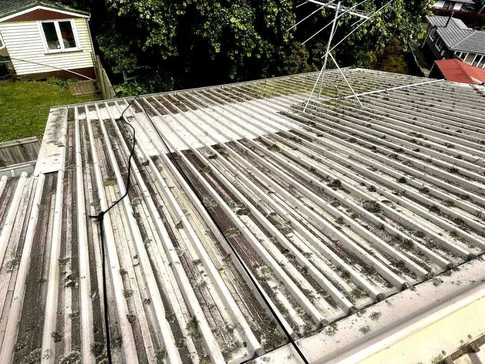 Corrugated metal roof coated in moss, dirt, and debris before professional cleaning, showing conditions prior to washing.